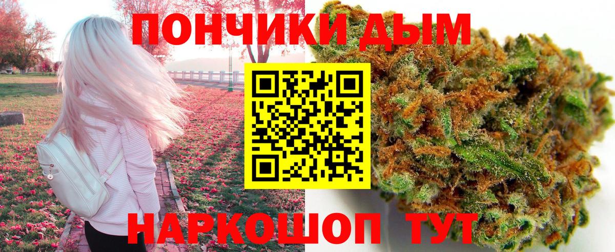 Канабис план Тайшет